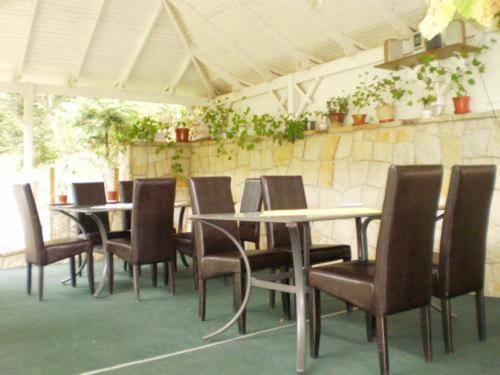 Pension Casa Alba Slănic-Moldova Zewnętrze zdjęcie